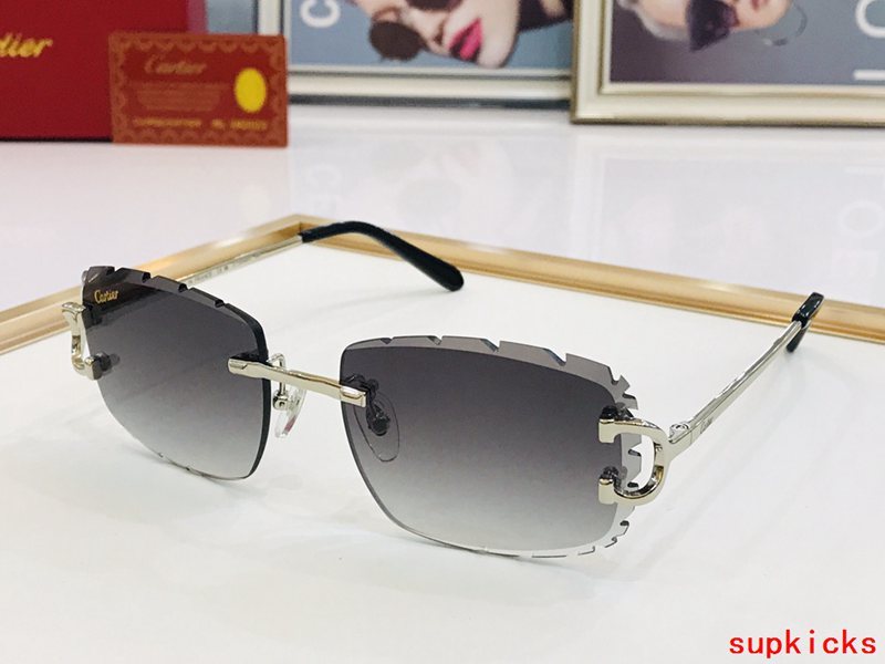 Front view of Cartier unisex sunglasses
