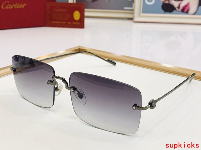 Front view of Cartier unisex sunglasses