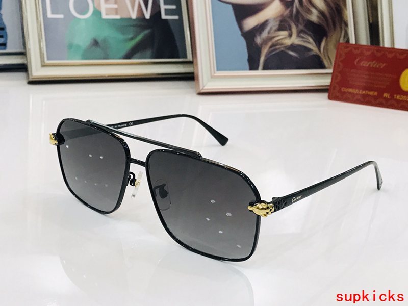 Side view of Cartier unisex sunglasses