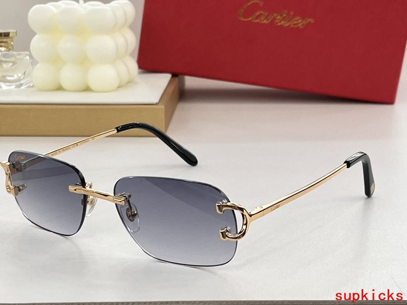 Close-up detail view of Cartier unisex sunglasses