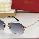Close-up detail view of Cartier unisex sunglasses