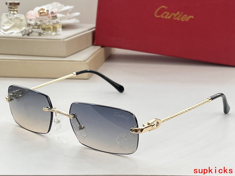 Front view of Cartier unisex sunglasses