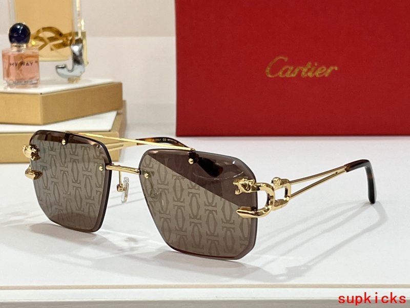 Close-up detail view of Cartier unisex sunglasses