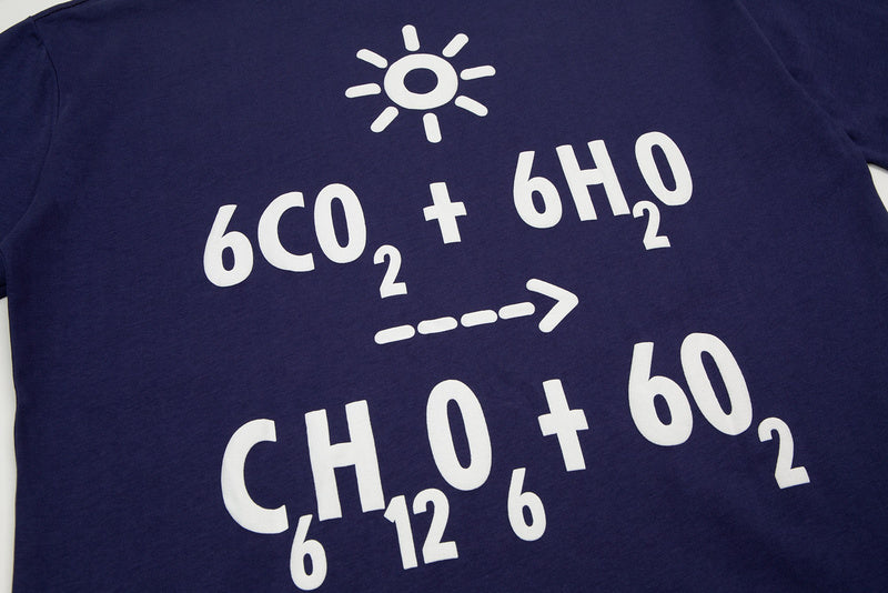 Flat lay presentation of Louis Vuitton cotton t-shirt with everyday silhouette