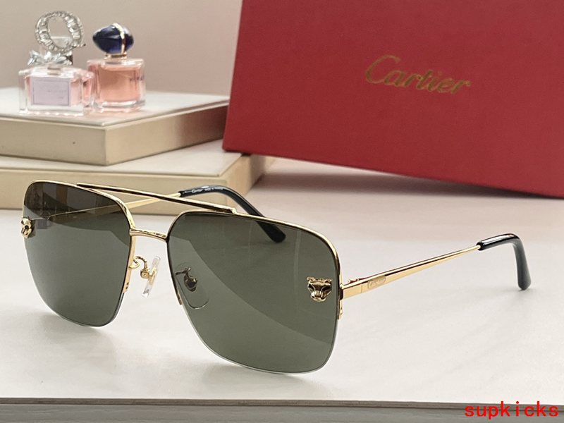 Front view of Cartier unisex sunglasses