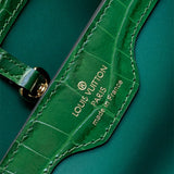  everyday bag interior and compartment view 45