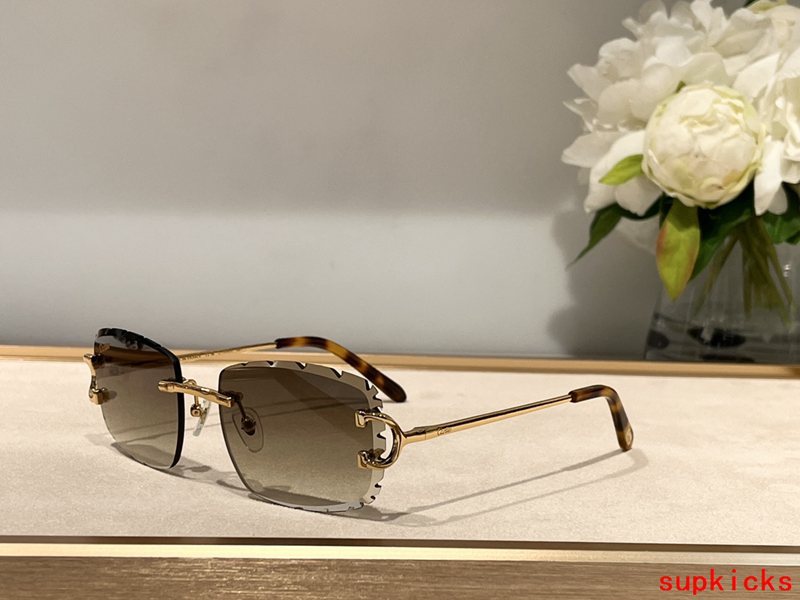 Angled view of Cartier unisex sunglasses