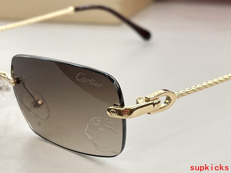 Close-up detail view of Cartier unisex sunglasses
