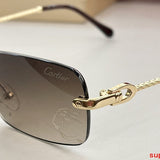 Close-up detail view of Cartier unisex sunglasses