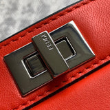 Ziva's Charm handbag – interior view (20cm*15cm*11cm)