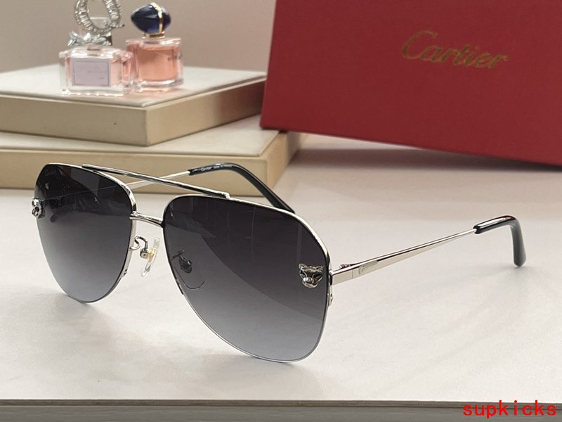 Side view of Cartier unisex sunglasses