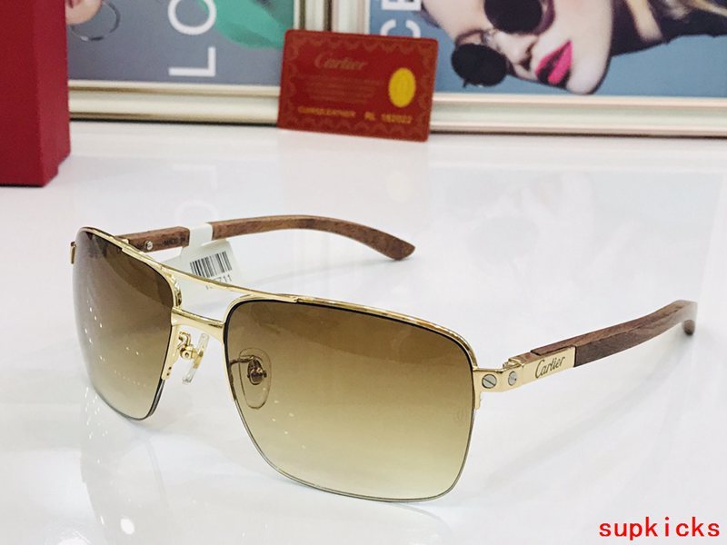 Close-up detail view of Cartier unisex sunglasses