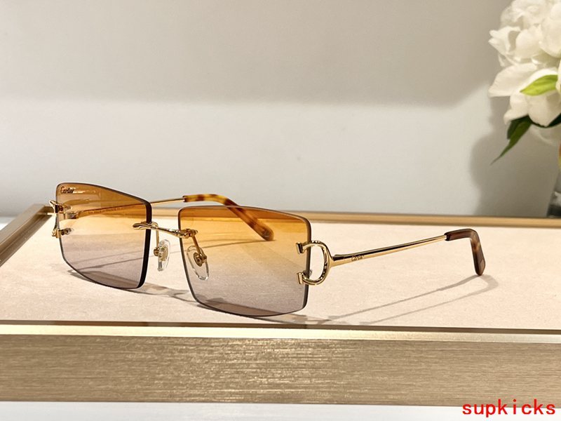 Lifestyle view of Cartier unisex sunglasses
