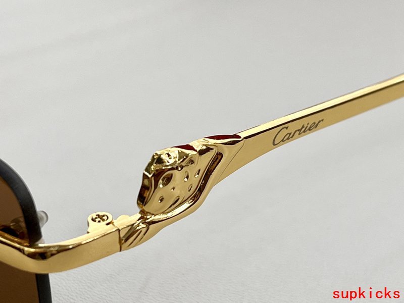 Full view of Cartier unisex sunglasses