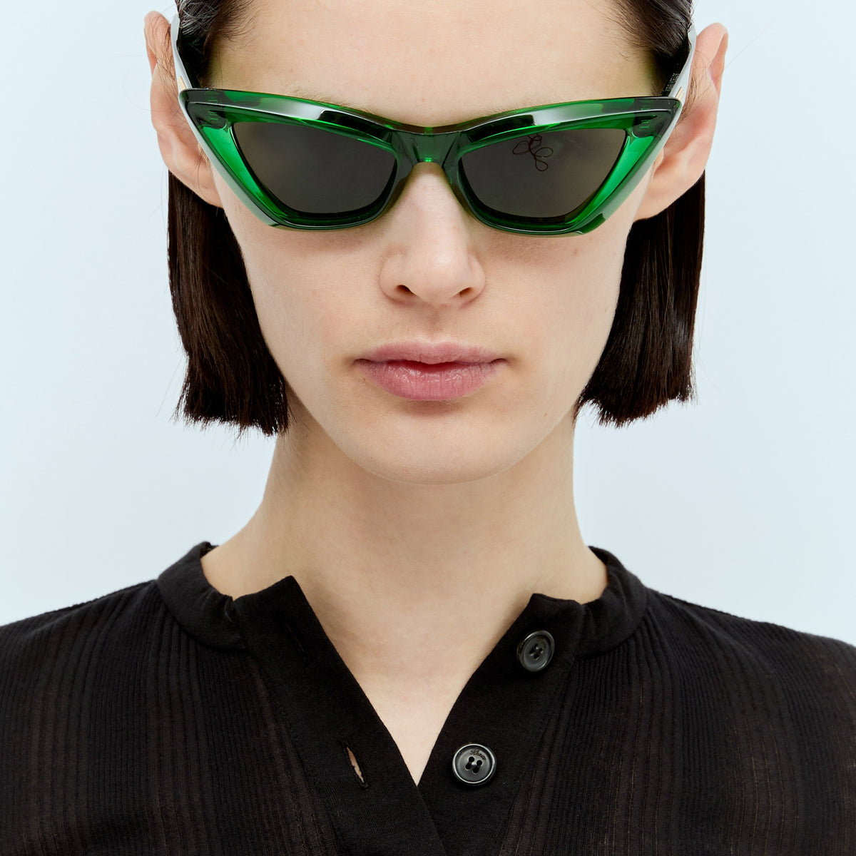 Bottega Veneta sunglasses luxury designer piece front view