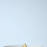 Bottega Veneta belts side profile designer luxury fashion