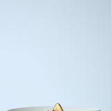 Bottega Veneta premium belts detail and craftsmanship close-up