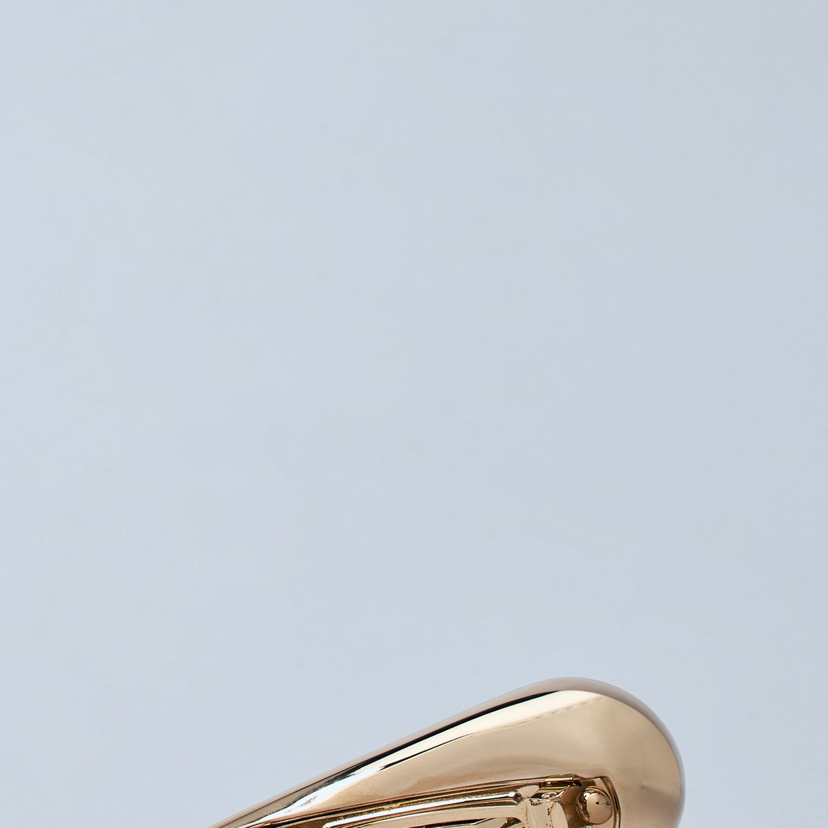 Bottega Veneta miscellaneous luxury designer piece front view