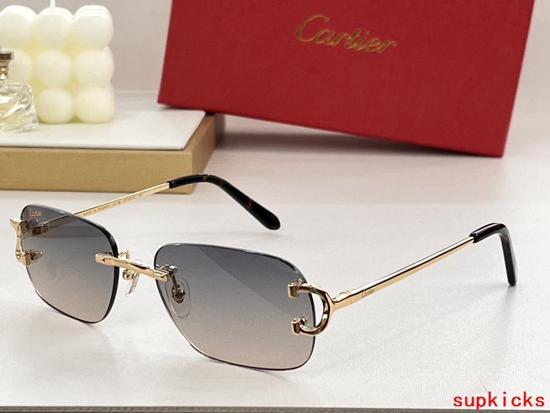 Angled view of Cartier unisex sunglasses