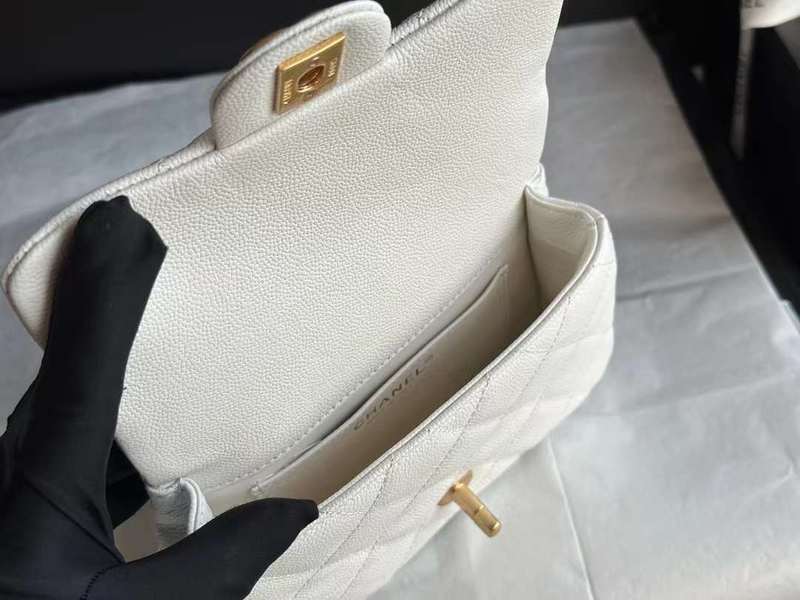 Zivas Charm Versatile Design Everyday Handbag (Premium Everyday Carry) – Full Silhouette