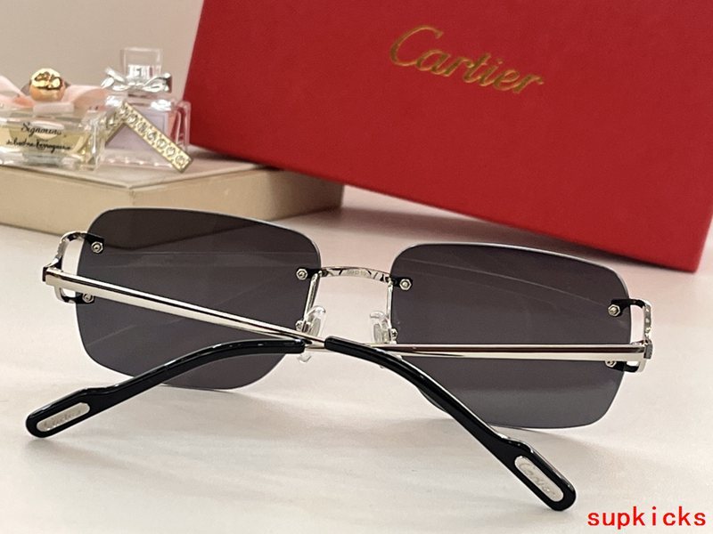 Side view of Cartier unisex sunglasses