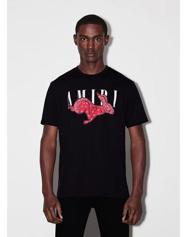 Amiri luxury t-shirt detail shot