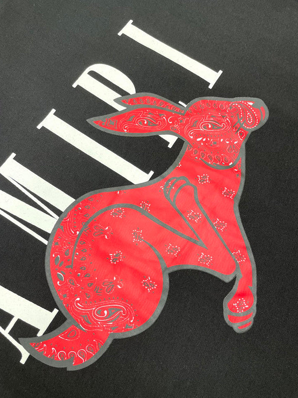Amiri t-shirt close-up — premium authentic designer style