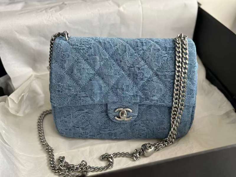 Zivas Charm Polished Finish Luxury Handbag (Elevated Accessory Essential) – Detail View