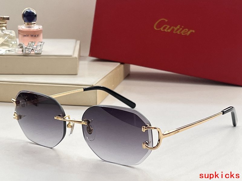 Side view of Cartier unisex sunglasses