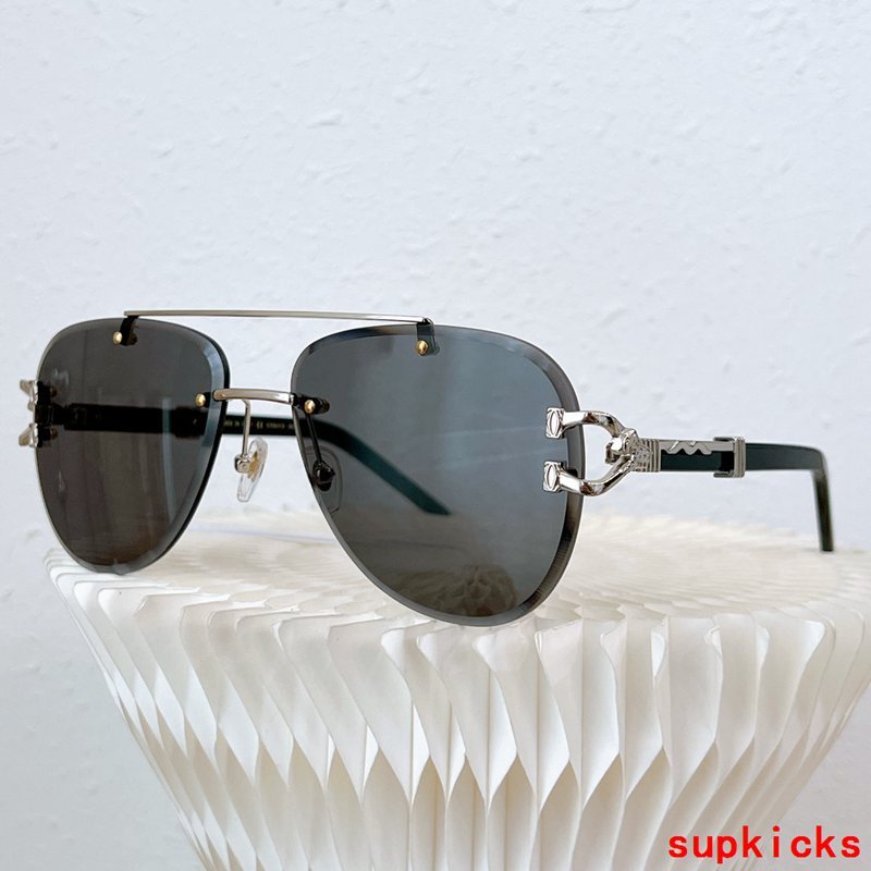 Close-up detail view of Cartier unisex sunglasses