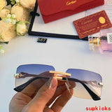 Front view of Cartier unisex sunglasses