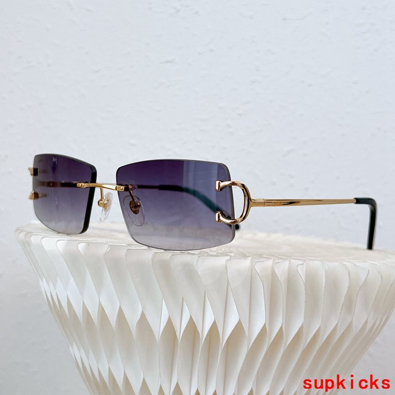 Side view of Cartier unisex sunglasses