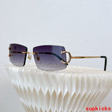 Side view of Cartier unisex sunglasses