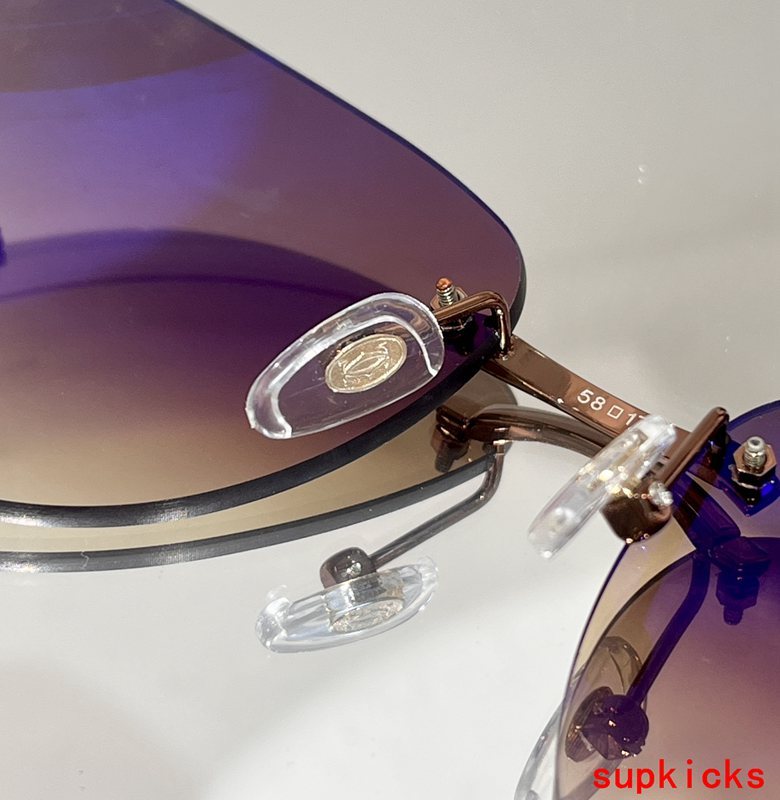 Close-up detail view of Cartier unisex sunglasses