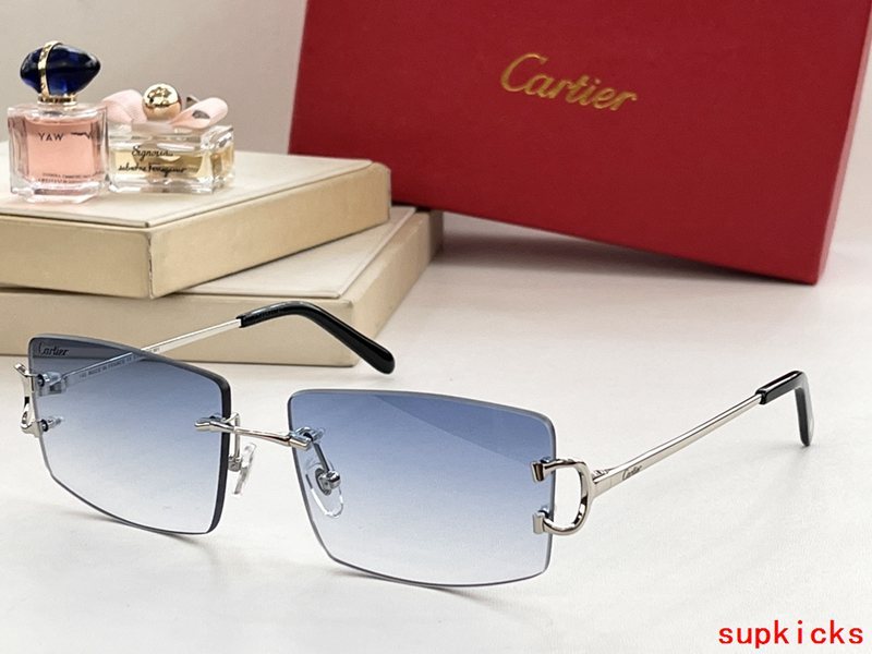 Side view of Cartier unisex sunglasses