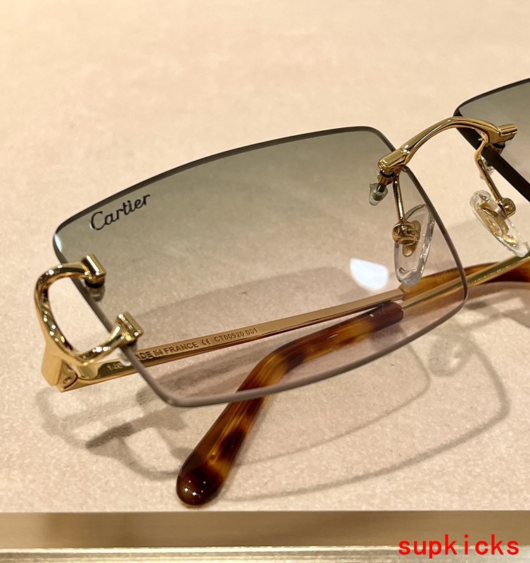 Side view of Cartier unisex sunglasses