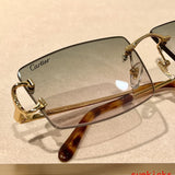 Side view of Cartier unisex sunglasses