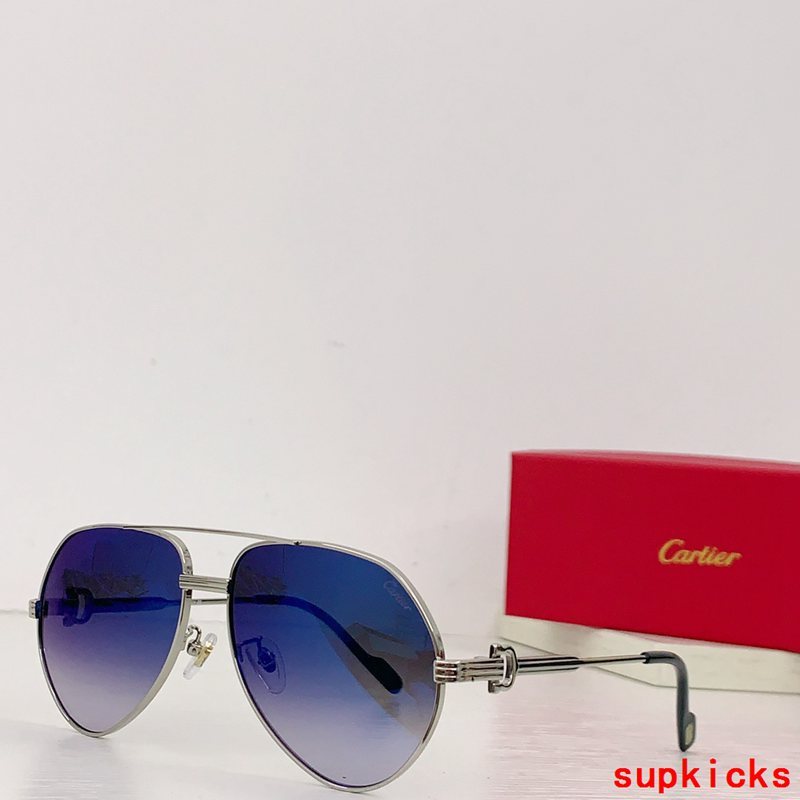 Side view of Cartier unisex sunglasses