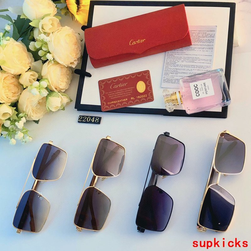 Side view of Cartier unisex sunglasses