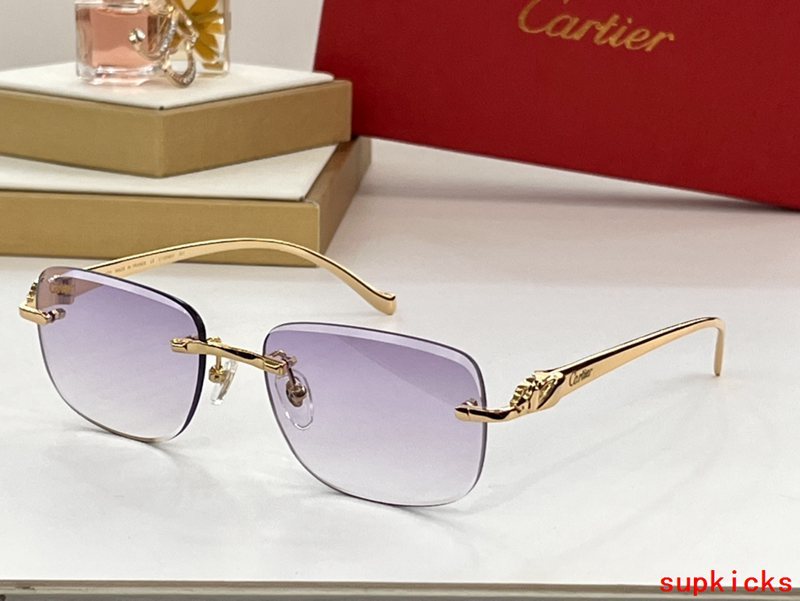 Lifestyle view of Cartier unisex sunglasses