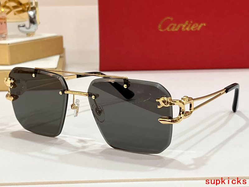 Side view of Cartier unisex sunglasses