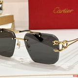 Side view of Cartier unisex sunglasses