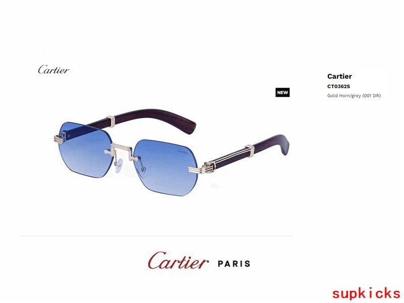 Lifestyle view of Cartier unisex sunglasses