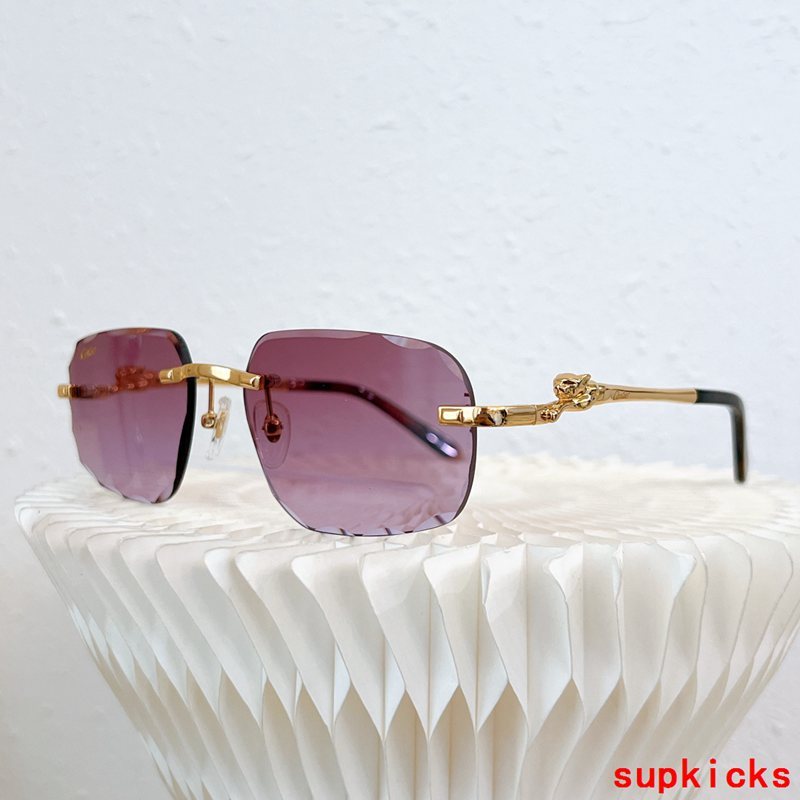 Close-up detail view of Cartier unisex sunglasses