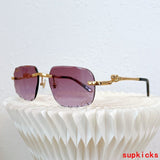 Close-up detail view of Cartier unisex sunglasses