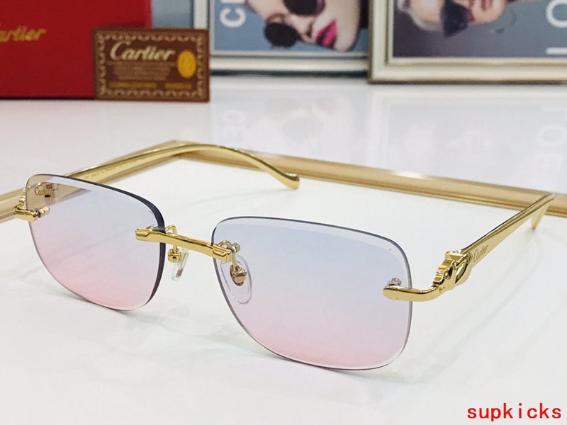Close-up detail view of Cartier unisex sunglasses