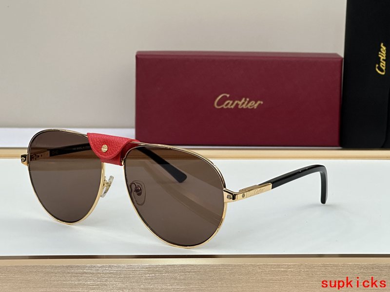 Close-up detail view of Cartier unisex sunglasses