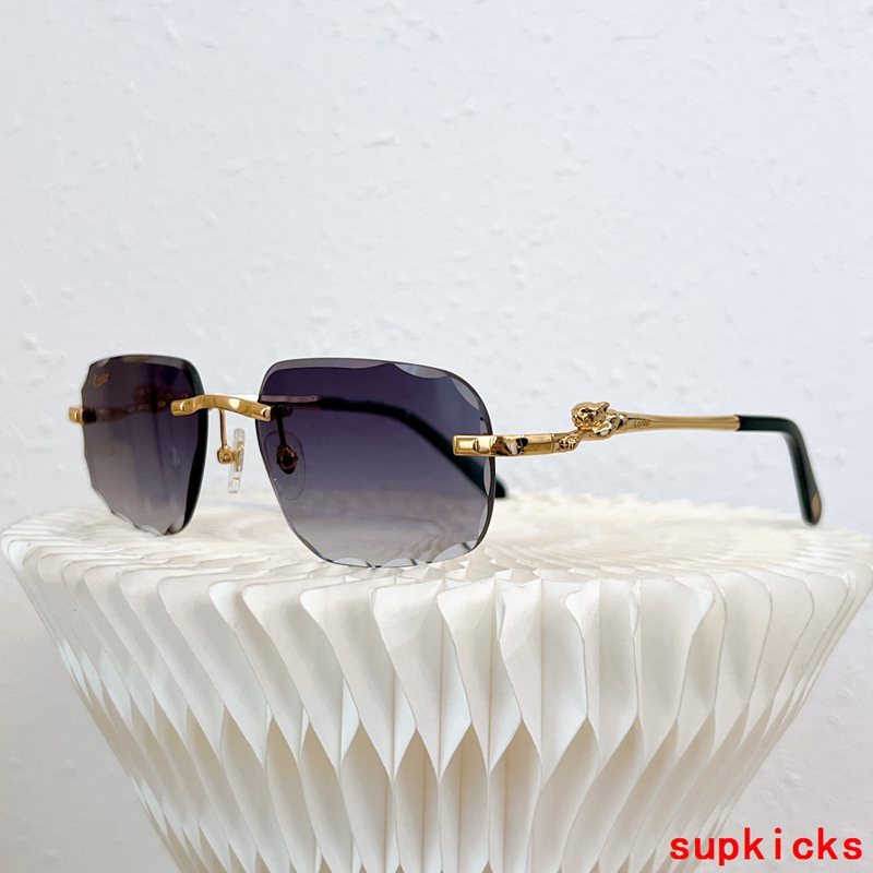 Close-up detail view of Cartier unisex sunglasses