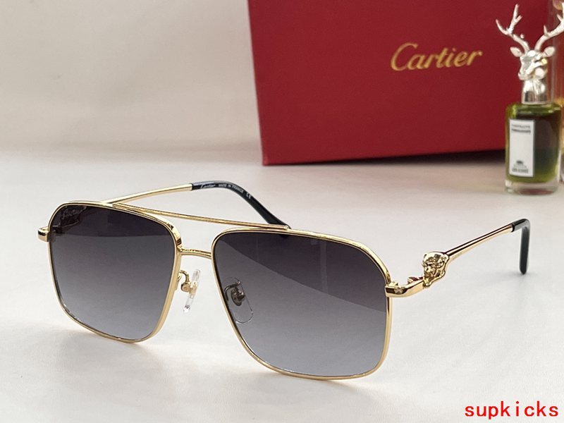 Close-up detail view of Cartier unisex sunglasses
