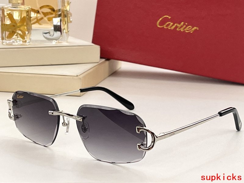 Lifestyle view of Cartier unisex sunglasses